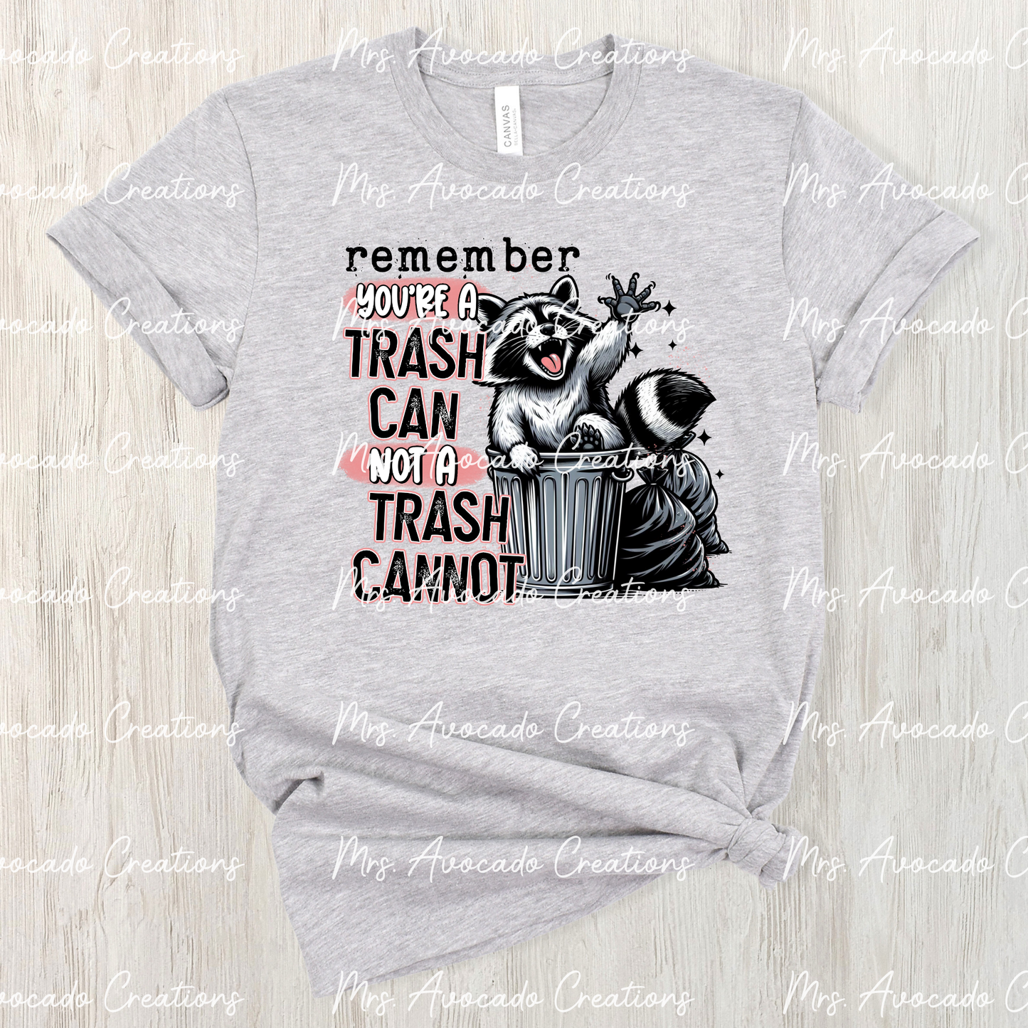 You're a Trash Can Not a Trash Cannot