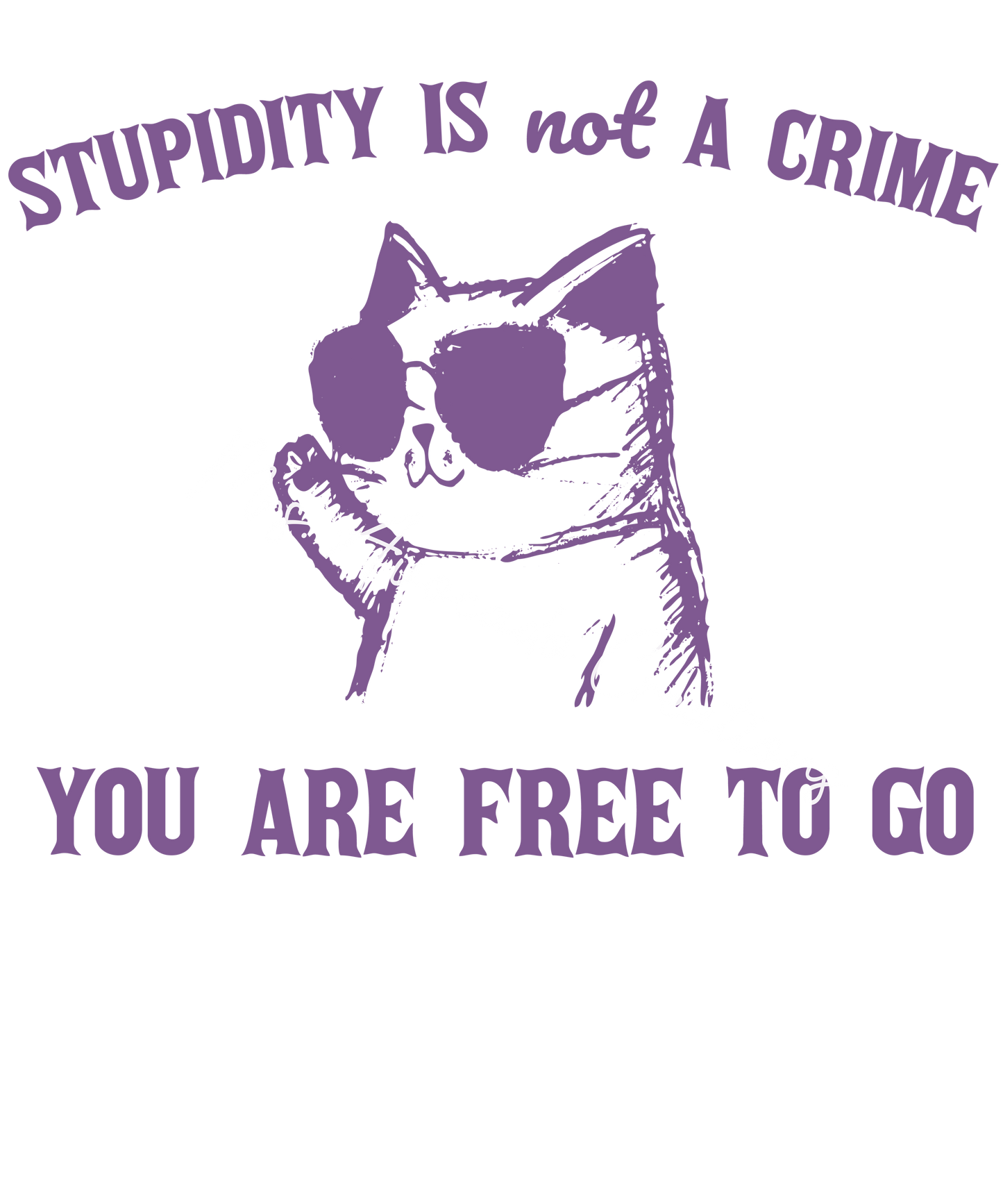 Stupidity is not a crime
