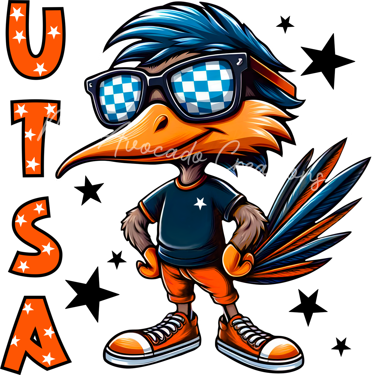 UT SA Roadrunner
