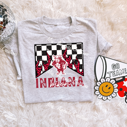 Checkered Flame Indiana Bison