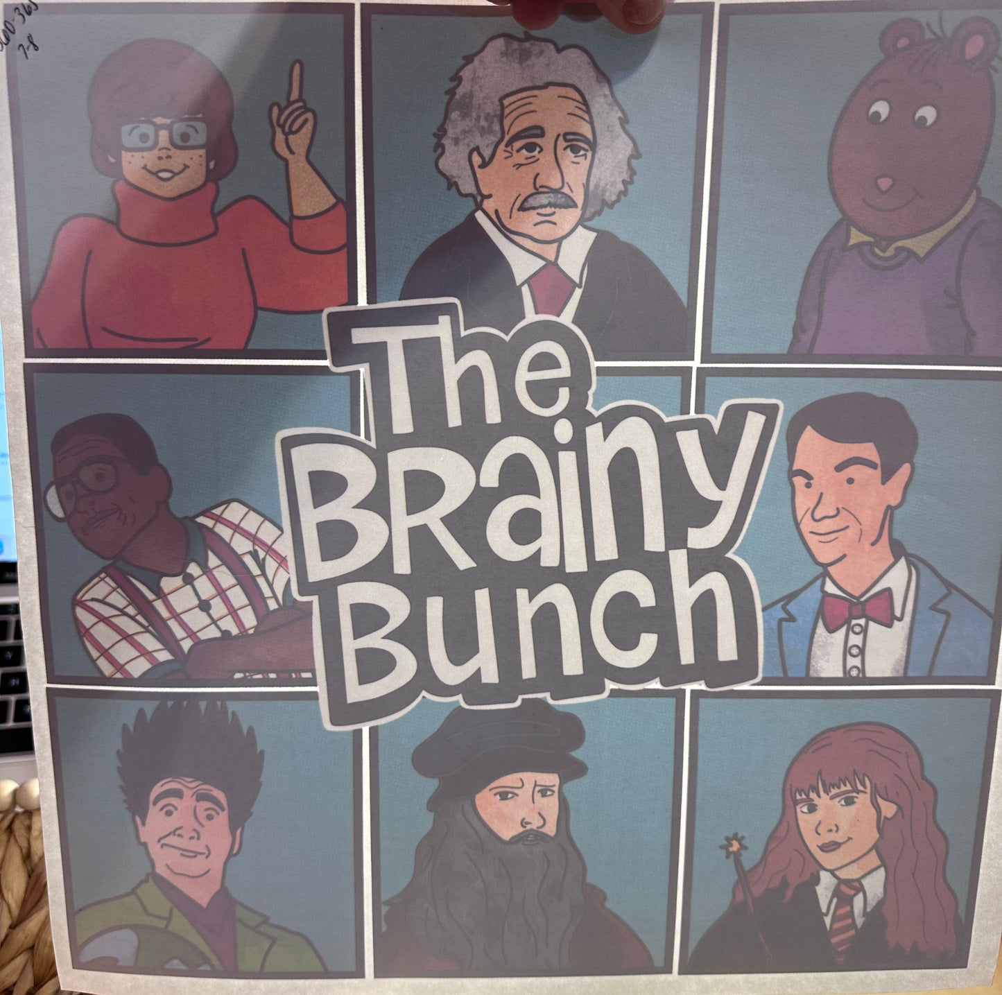 Destash-Brainy bunch