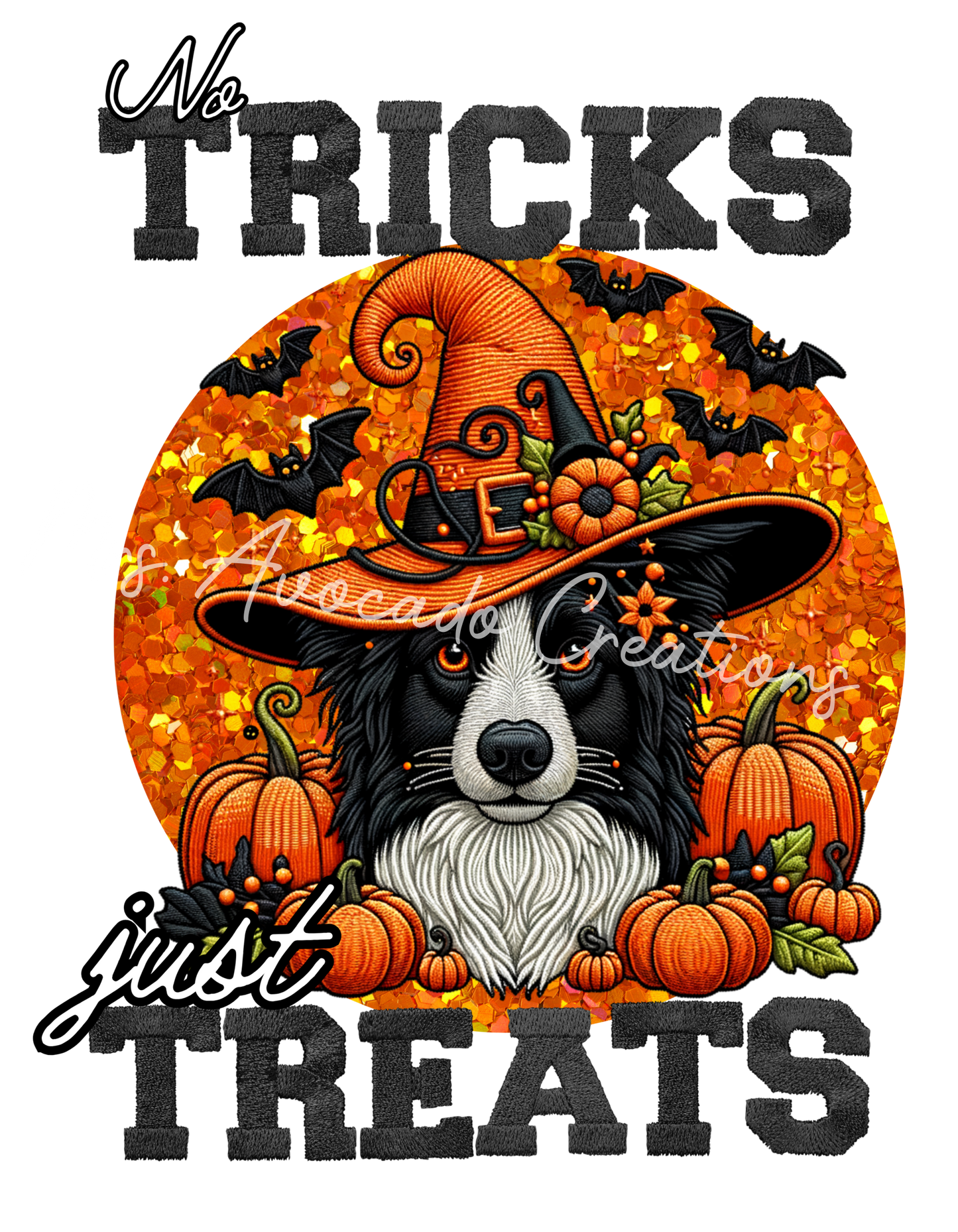 Tricks and Treats Border Collie