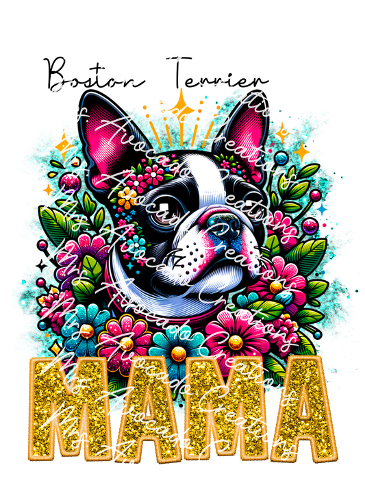 Boston Terrier