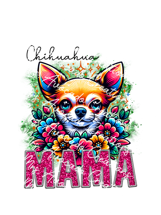 Chihuahua (brown/white)