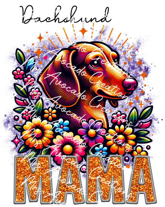 Dachshund