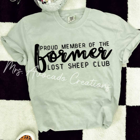 Former lost sheep