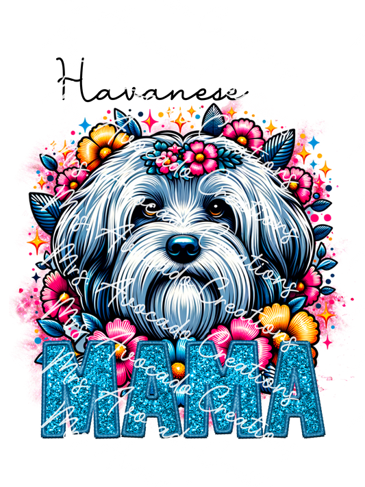 Havanese