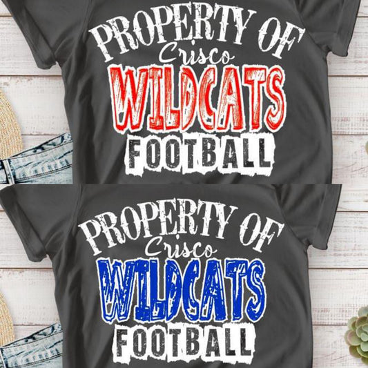 Property of Custom (white letters)