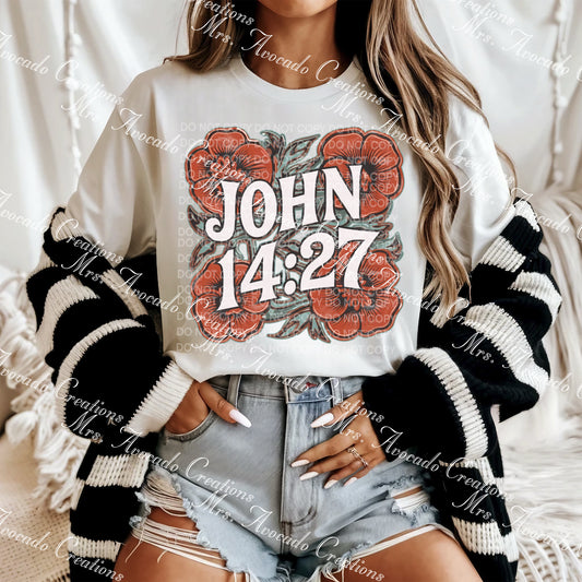 John 14:27
