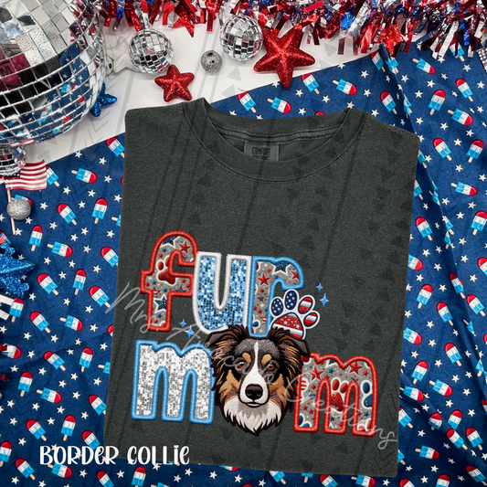 Patriotic Border Collie