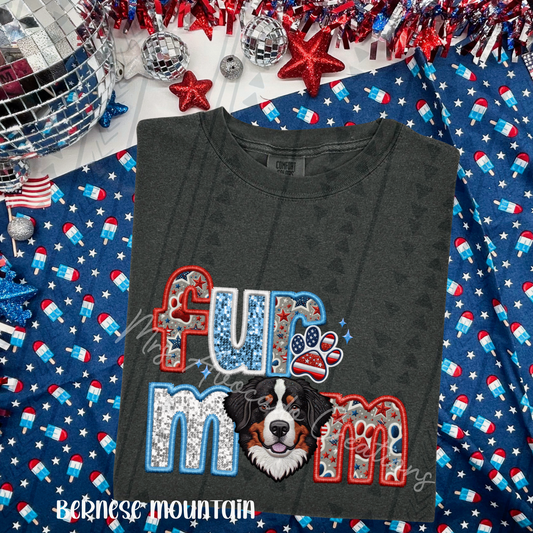 Patriotic Bernese Mountain