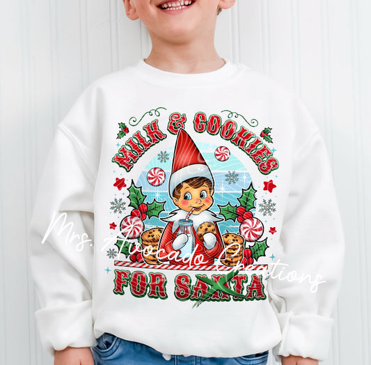 Boy elf milk and cookies
