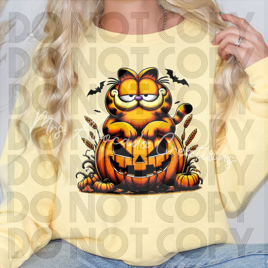 Pumpkin orange cat