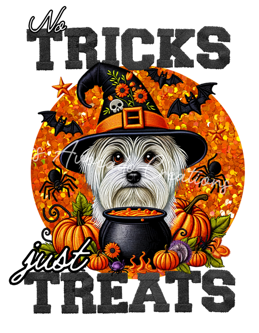 Tricks and Treats Maltese