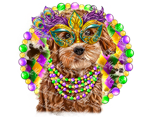 Mardi Gras Dog