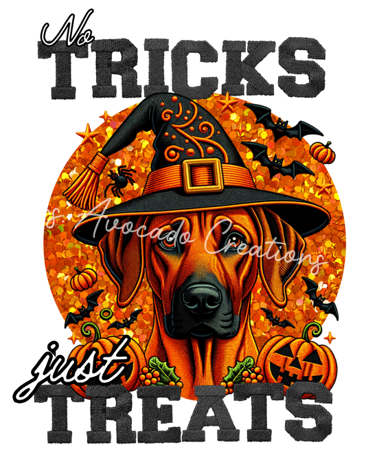 Tricks and Treats Rhodesian Ridgeback