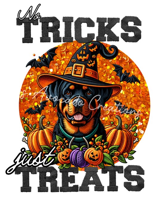 Tricks and Treats Shih Tzu