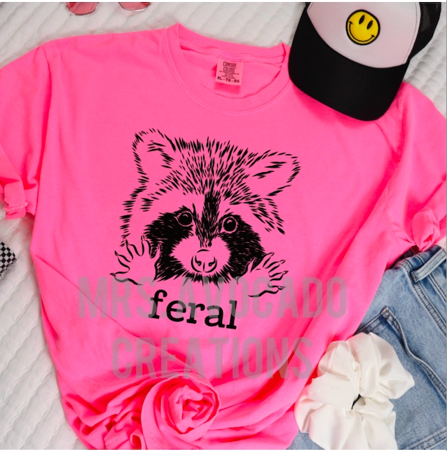 Feral Raccoon
