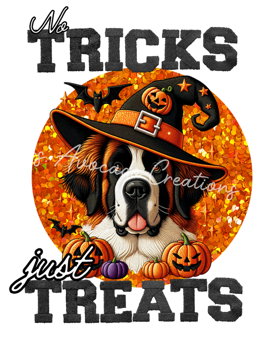 Tricks and Treats St Bernard