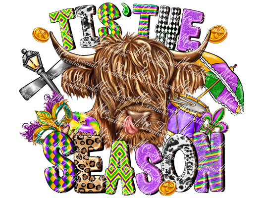 Tis the Season Mardi Gras Cow