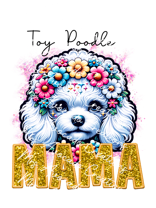 Toy Poodle
