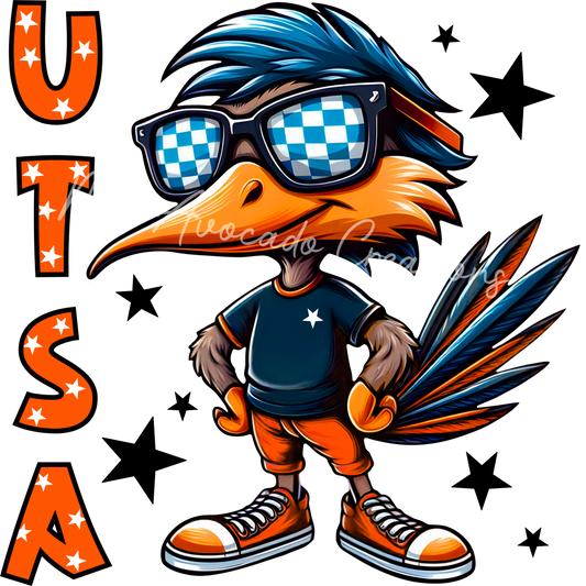 UT SA Roadrunner