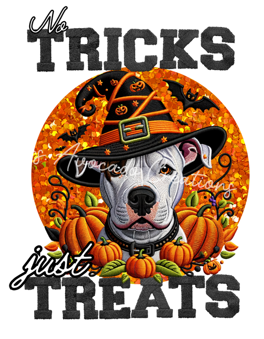 Tricks and Treats White Brindle Pitbull