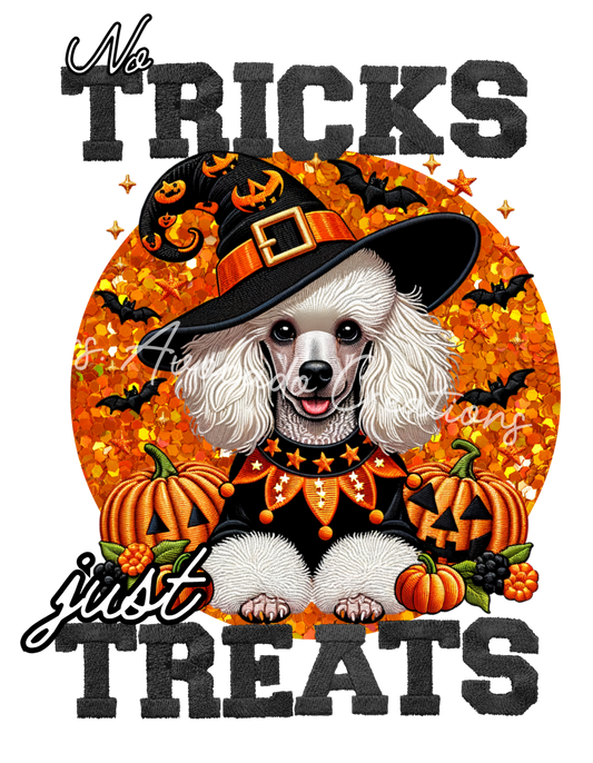 Tricks and Treats White Standard Poodle
