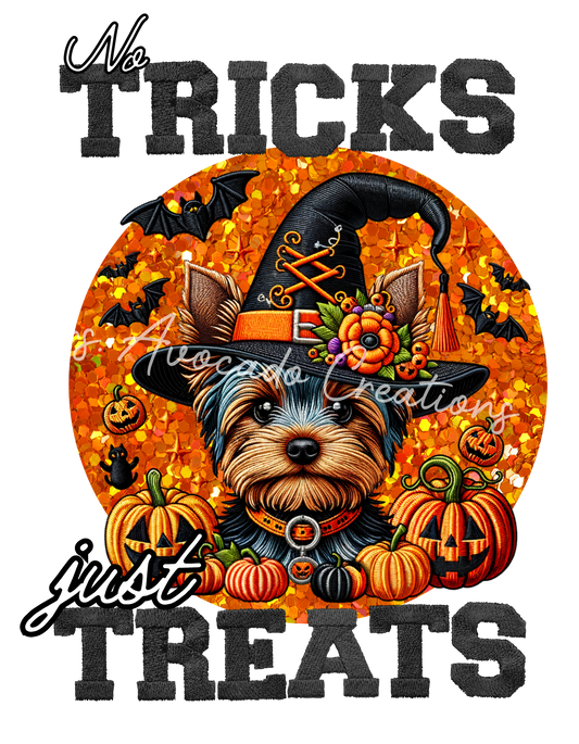 Tricks and Treats Yorkshire Terrier