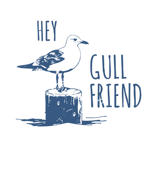 Hey gull friend